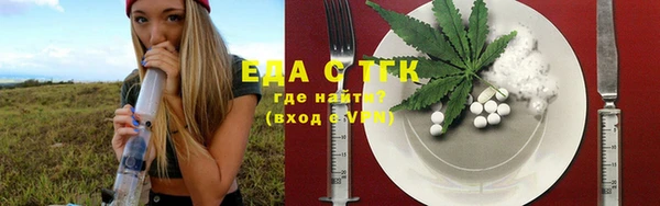 дживик Сясьстрой
