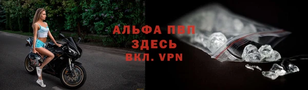 дживик Сясьстрой