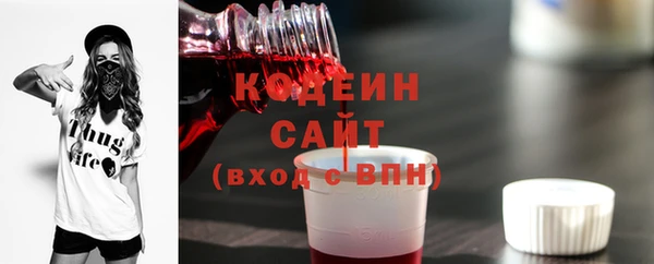 дживик Сясьстрой