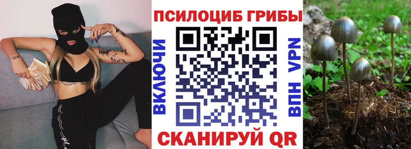 Псилоцибиновые грибы ЛСД  Шахунья 